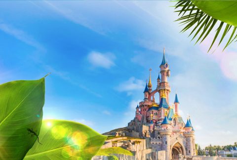 Disneyland® Paris Express by train