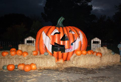 Chessington World of Adventures Resort