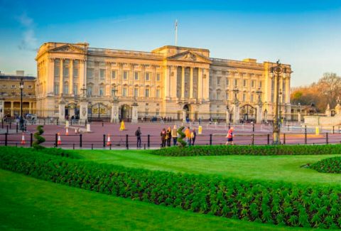 Buckingham Palace State Rooms Entrance Ticket