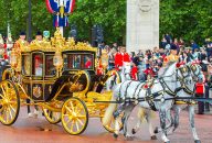 The Royal Mews at Buckingham Palace Entrance Ticket