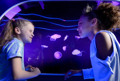 SEA LIFE London Aquarium