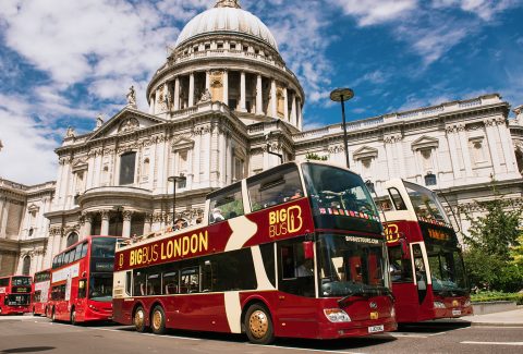 Big Bus London: 1/2/3 Day Hop-On-Hop-Off Sightseeing Bus + Cruise & Walking Tour
